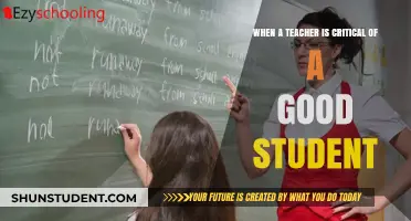 When Praise Turns to Critique: Navigating Teacher Feedback for Good Students