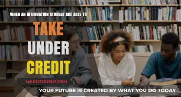 Credit Courses: International Students' Fast-Track Strategy