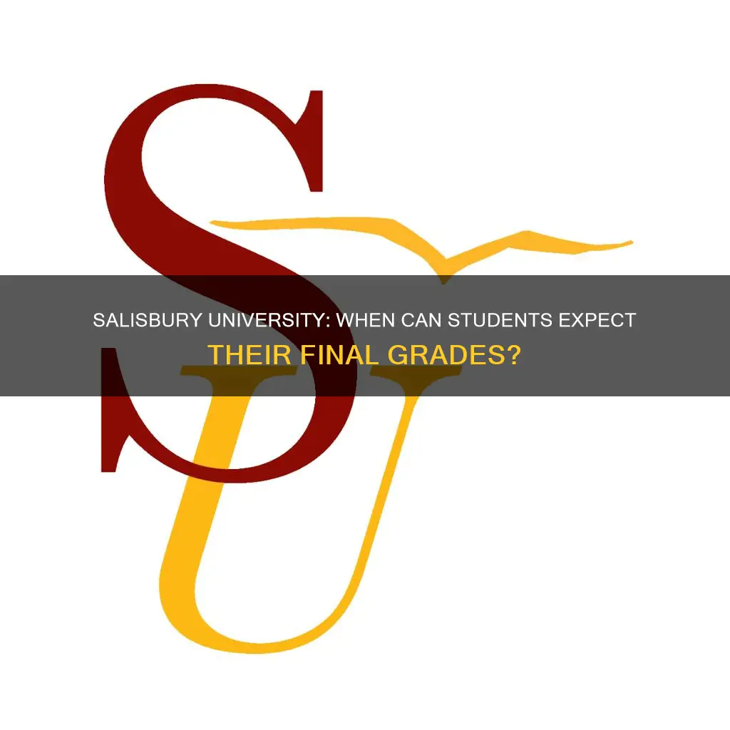 when are final grades available for students at salisbury university