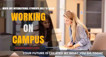 Navigating Campus Work Options for International Students