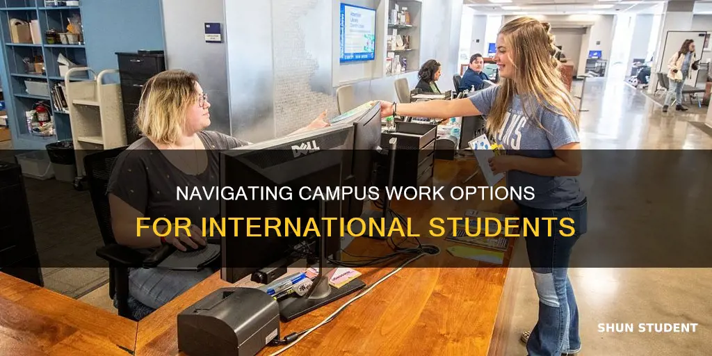 when are international students able to begin working on campus