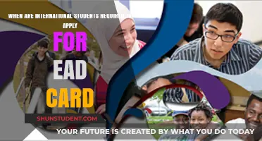 Understanding EAD Card Requirements for International Students