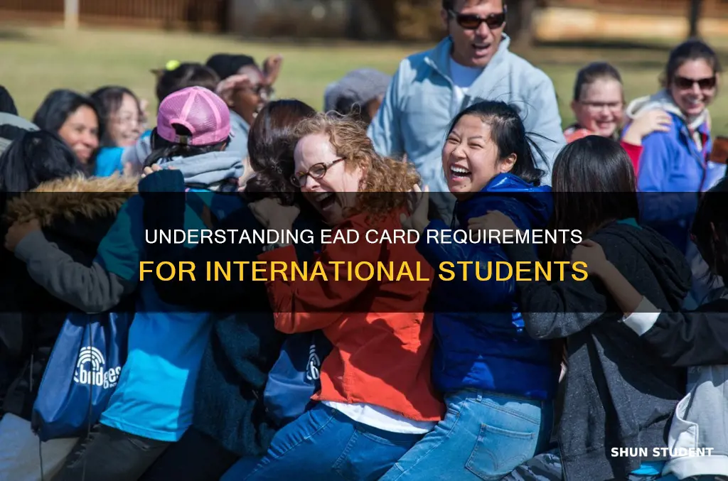 when are international students required to apply for ead card