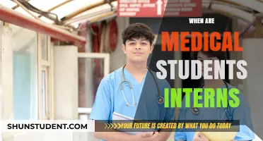 Medical Student Internship: When Does It Begin?