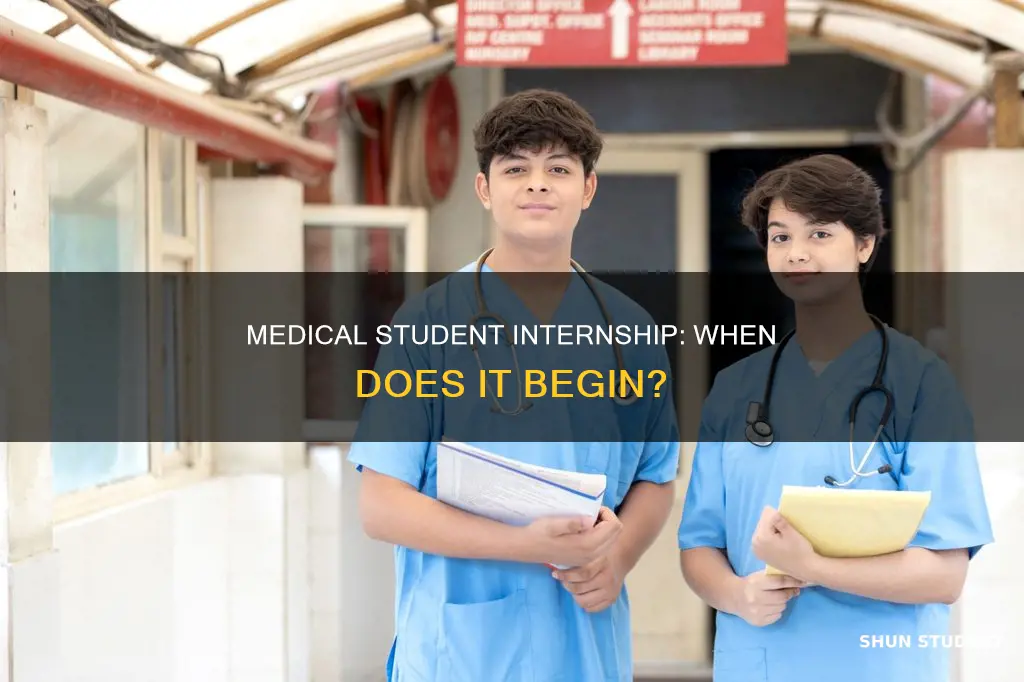 when are medical students interns