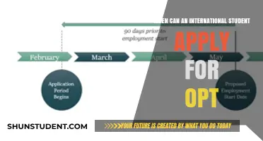 Understanding OPT Application Timing for International Students