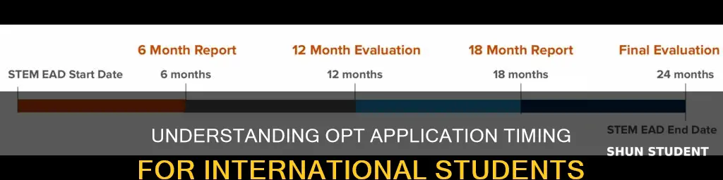 when can an international student apply for opt