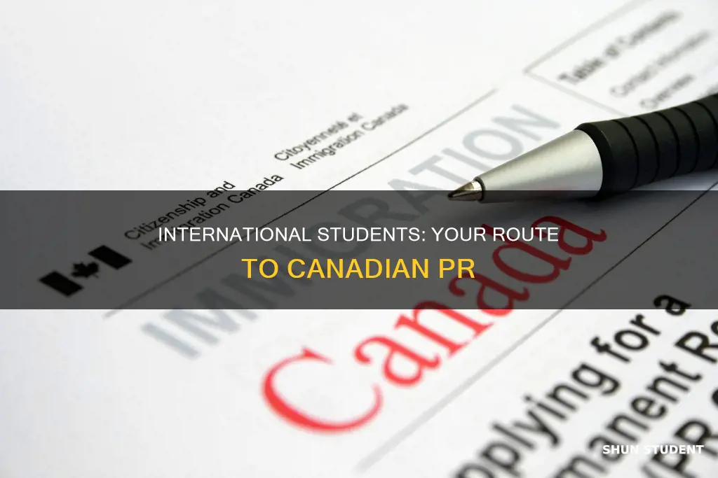 when can an international student apply for pr in canada