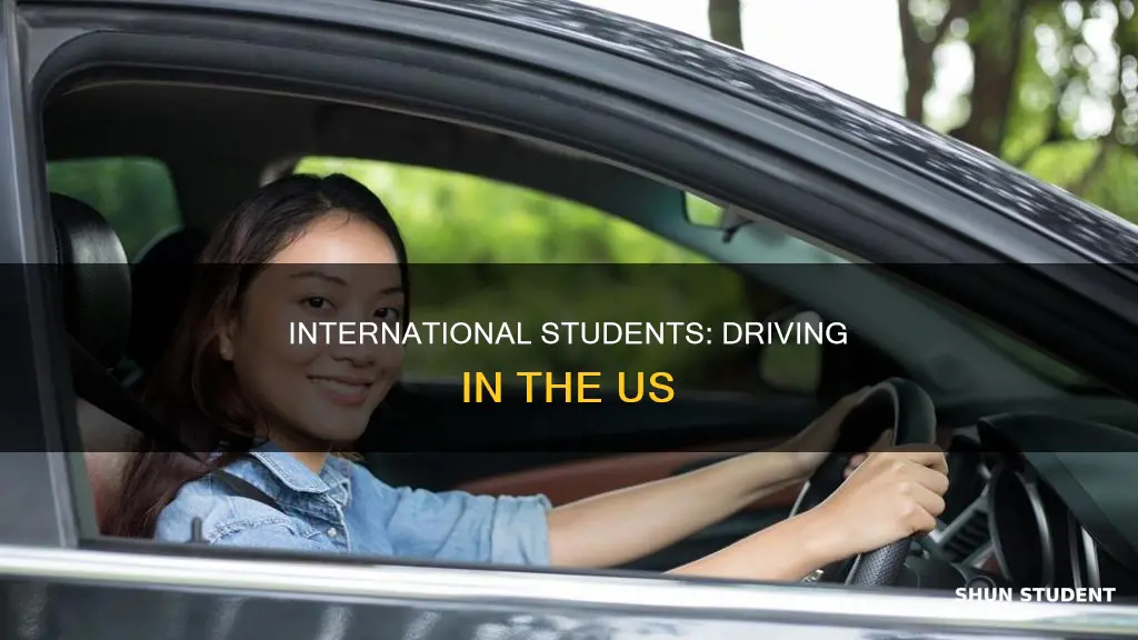 when can international students drive in america