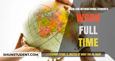 Full-Time Work Options for International Students