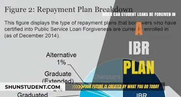 Student Loan Forgiveness Under IBR: When and How It Works