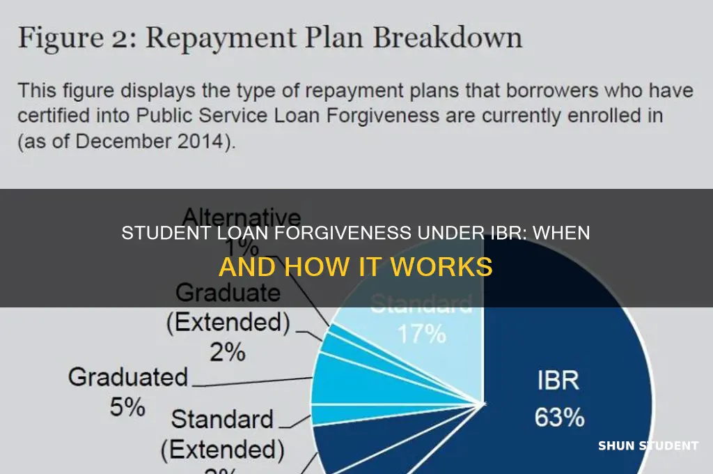 when can student loans be forgiven in a ibr plan