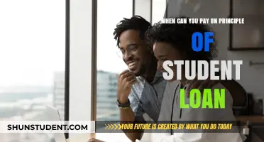 Student Loan Principal: When to Pay It Off?