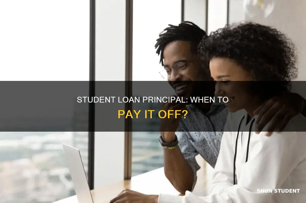 when can you pay on principle of student loan