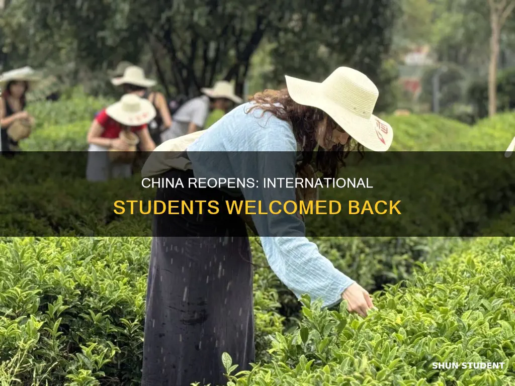 when china open for international students