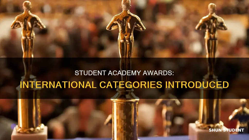 when did student academy awards add international categories