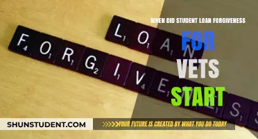 Veterans' Student Loan Forgiveness: Origins and Impact Explained