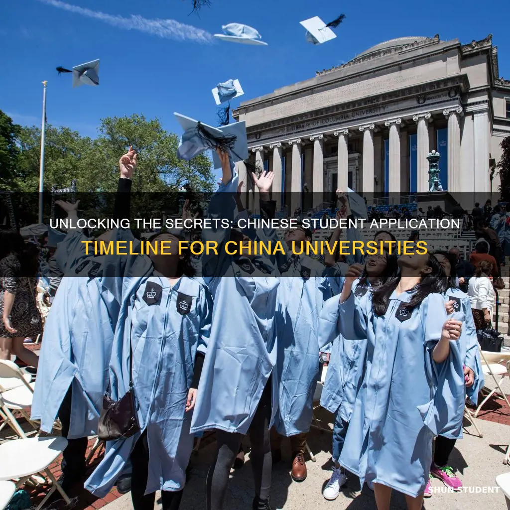 when do chinese students apply to china university