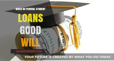 Understanding When Federal Student Loans Reflect Goodwill Adjustments