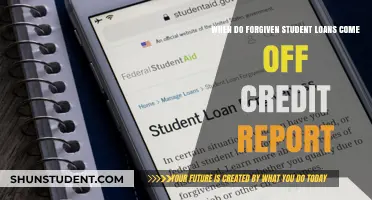 When Forgiven Student Loans Disappear from Your Credit Report
