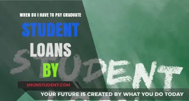 Understanding Graduate Student Loan Repayment
