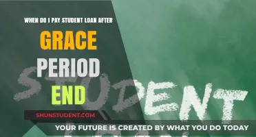 Student Loan Payment: Grace Period Ends, Now What?