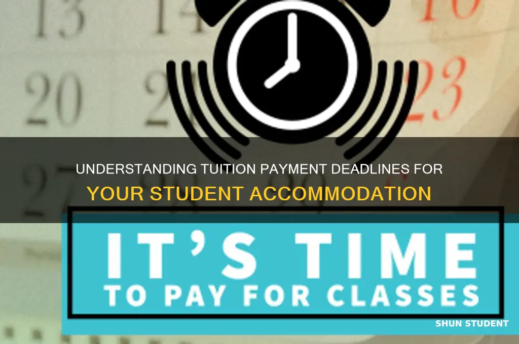 when do i pay tuition student room