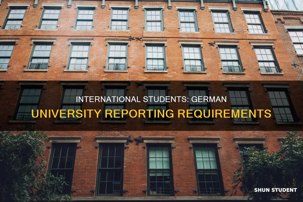 when do international students need to report to german universities