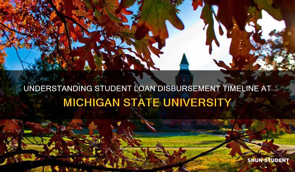 when do student loans get disbursed michigan state university