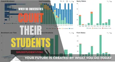 Unveiling the Mystery: When Do Universities Count Their Students?