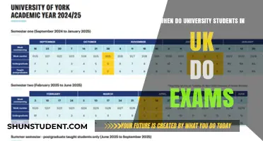 UK University Exam Seasons: When Are They?