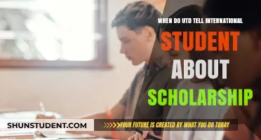 International Student Scholarships: UTD's Decision Time