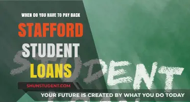 Understanding Stafford Student Loan Repayment Terms