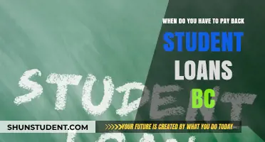Student Loan Repayment: When Does It Begin?