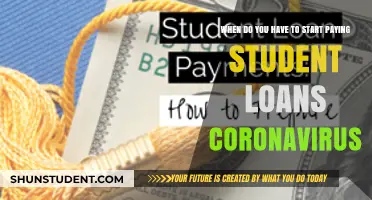 Student Loan Payment Plans During the Coronavirus Pandemic