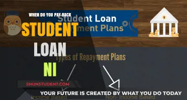 Understanding Student Loan Repayment in Northern Ireland