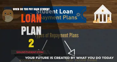 Understanding Student Loan Repayment: Plan 2