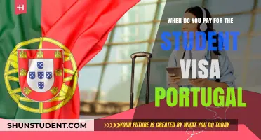Student Visa for Portugal: Payment Timeline and Process