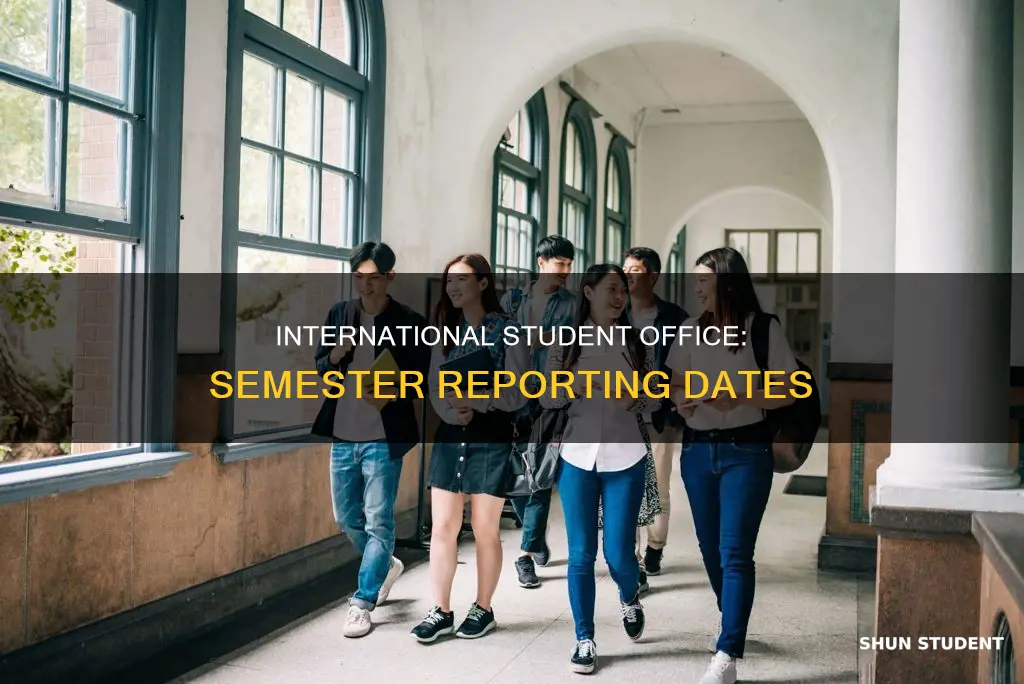 when does internation student office report during semester