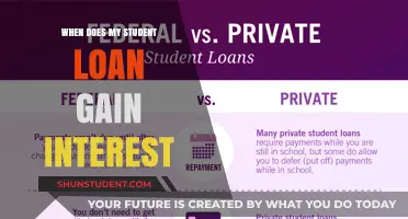 Understanding When Your Student Loan Accrues Interest: A Comprehensive Guide