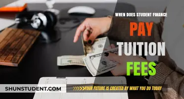 Student Finance Tuition Fees: When Does Payment Happen?