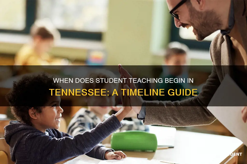 when does student teaching occur in tennessee