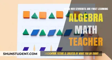 Empowering Young Minds: Teaching Algebra to Beginners in the Classroom