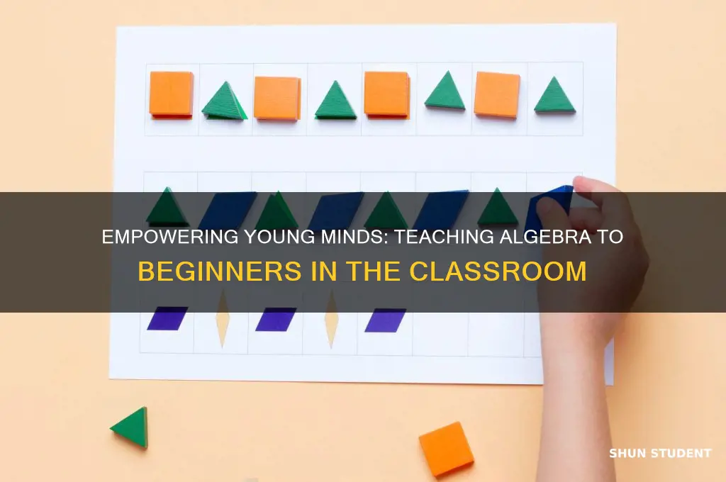 when her students are first learning algebra math teacher