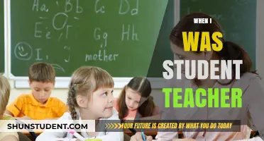 When I Was a Student Teacher: Lessons Learned in the Classroom