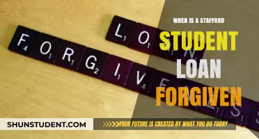 Stafford Loan Forgiveness: When Can Borrowers Expect Debt Relief?