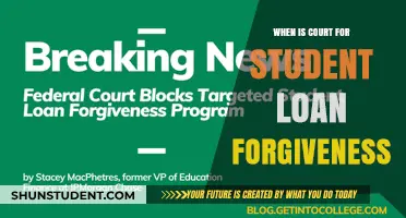 When Will Student Loan Forgiveness Court Decisions Be Finalized?