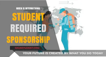 International Students: When Sponsorship Is Needed