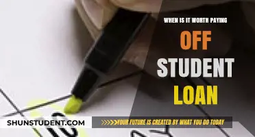 Student Loan Strategies: When to Pay Off Your Debt