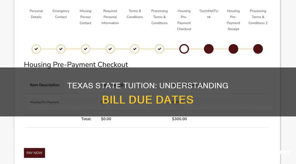 when is my student bill due at texas state university